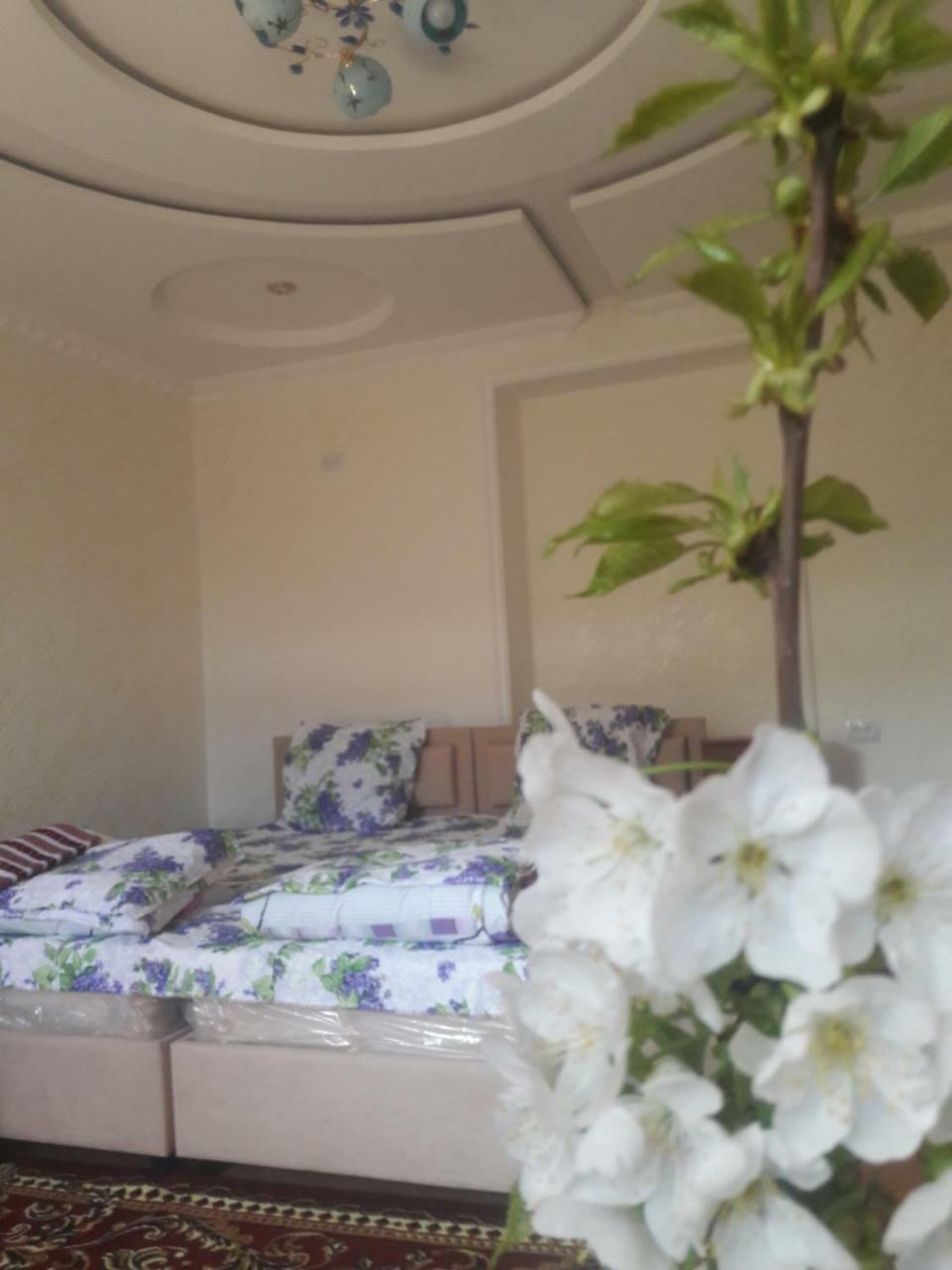 Like Guest House Samarkand Esterno foto